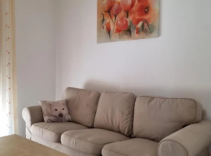 Apartment Appartments D&d